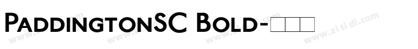 PaddingtonSC Bold字体转换